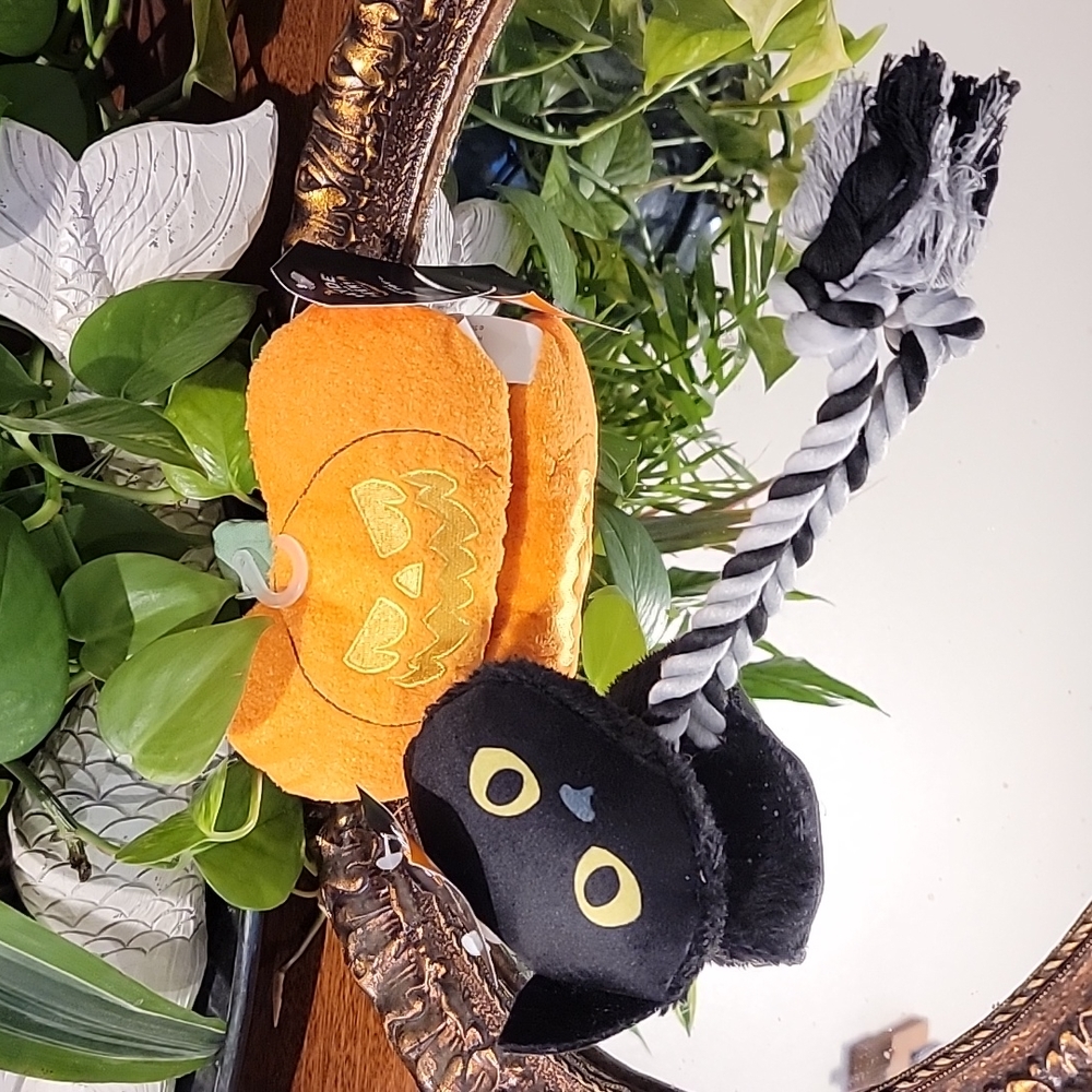 Halloween 🎃 small Dog Toys Bundle Black Cat Tug Dog toy Pumpkin